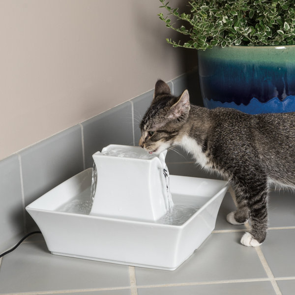 PetSafe® Ceramic Pagoda Fountain & Reviews Wayfair